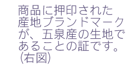 五泉絹解説