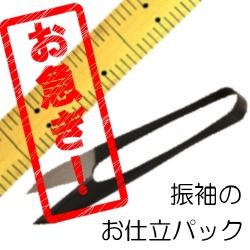 急品振袖お仕立て